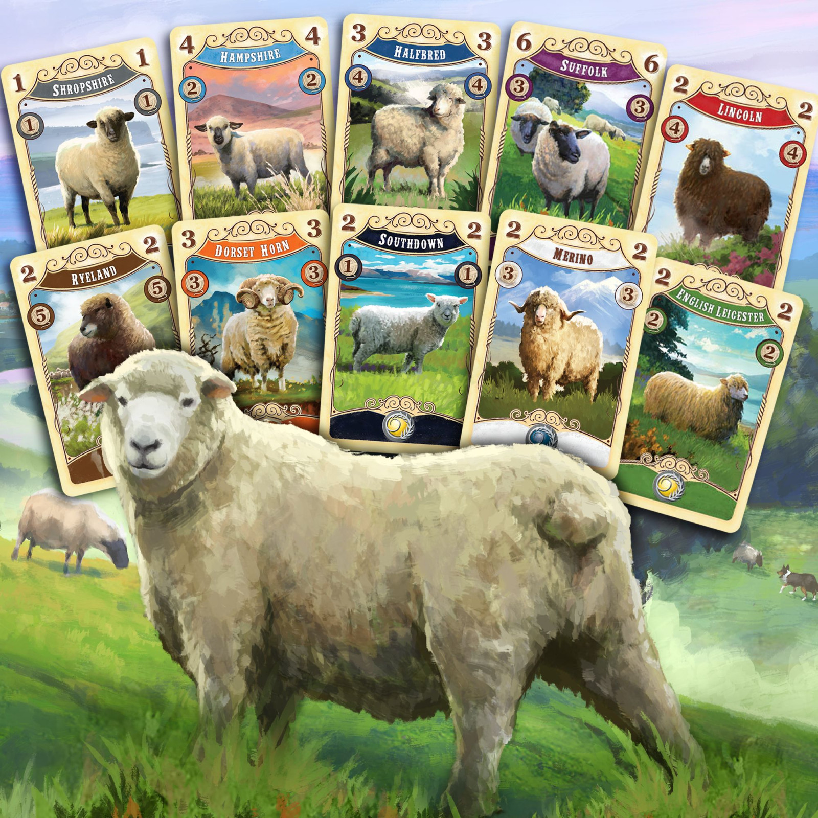 Great Western Trail : New Zealand